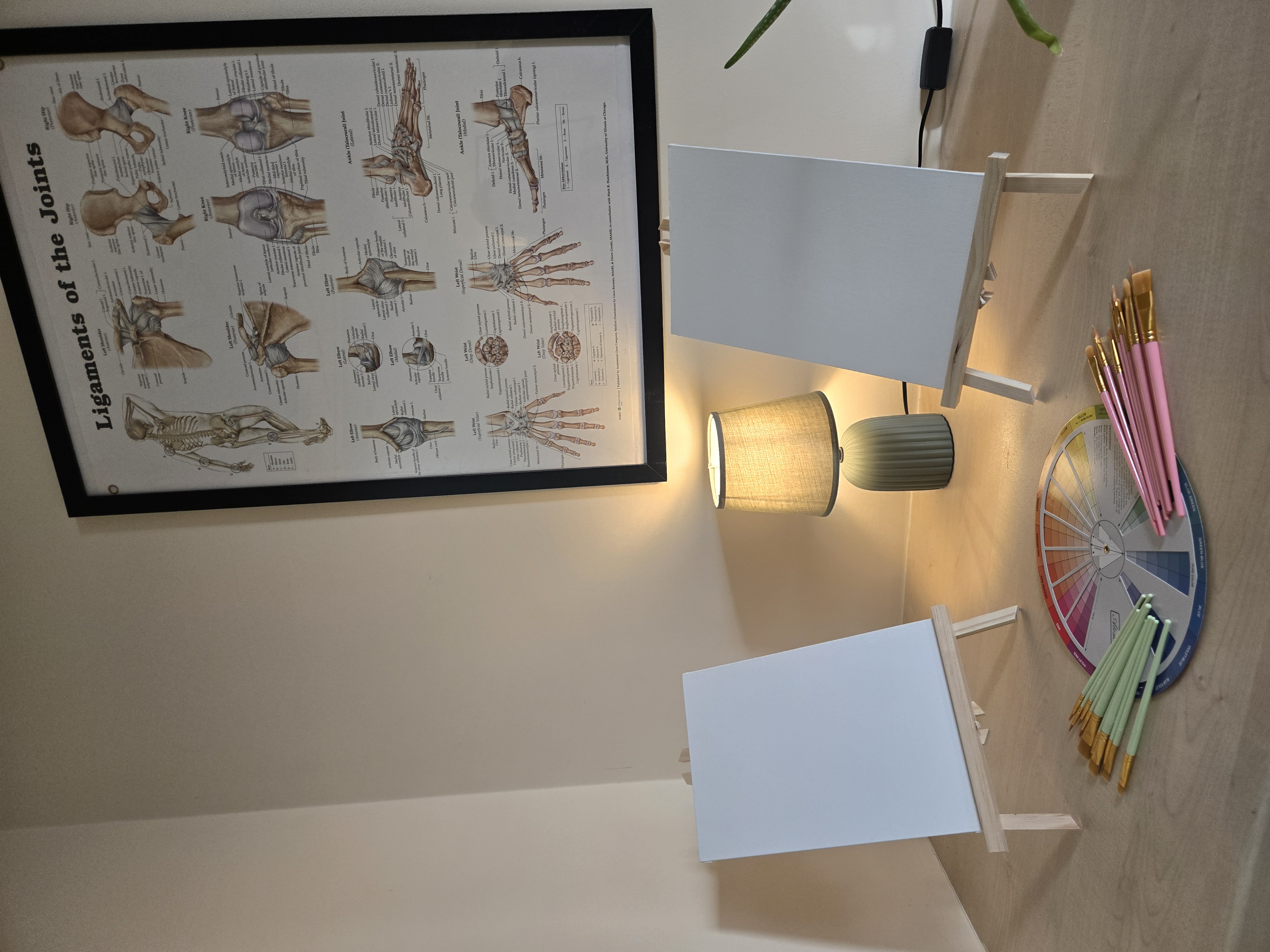 Inside Longstanton Wellness studio